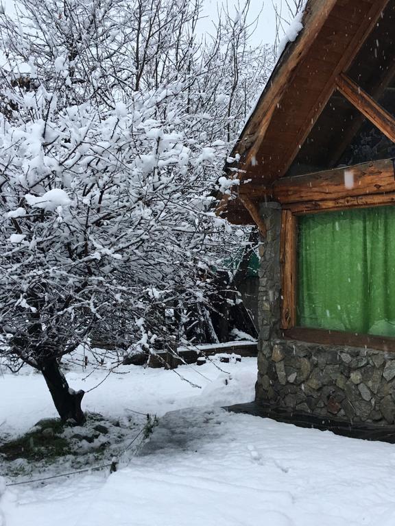 Cabanas Pehuenia Hostel El Bolsón Kültér fotó